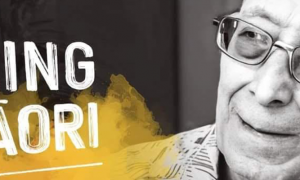 ranginui KeyArt Float Banner2